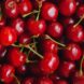 Luxor Allure Organic Lip Balm Cherry