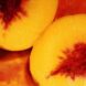 Luxor Allure Organic Lip Balm Peaches