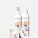 Luxor Allure Sea Moss Hydrating Skincare Set 4 oz