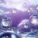 Luxor Allure Sea Moss Skin